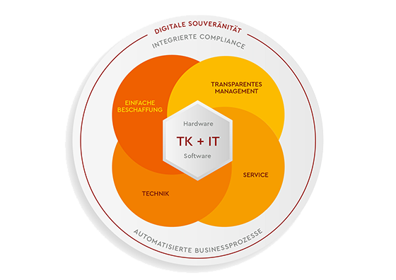 Grafik TK + IT Grafik über unser Angebot, dass die Brücke zwischen TK + IT schlägt.